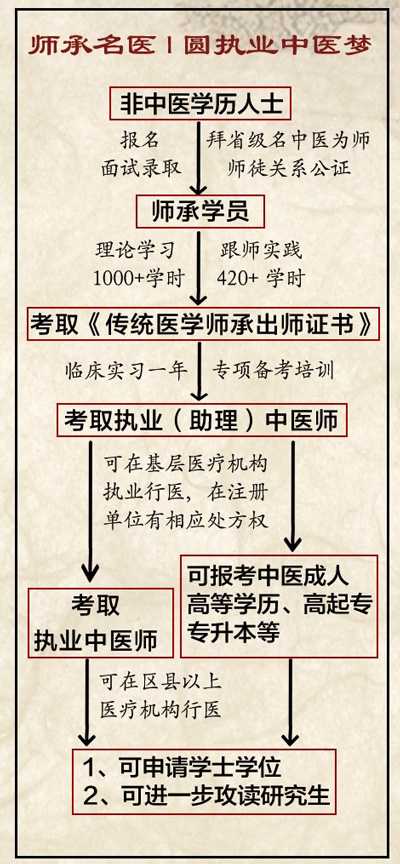 中医师承报名流程